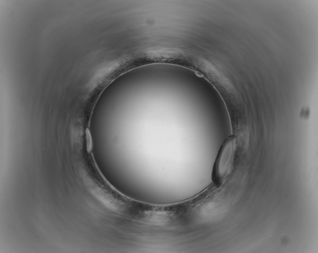 X0000092050448200709191124