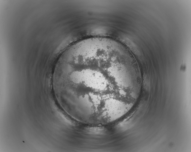 X0000092050449200709191124