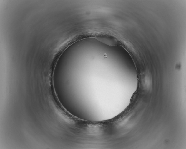 X0000092050450200709191124