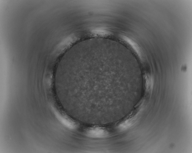 X0000092050451200709191124