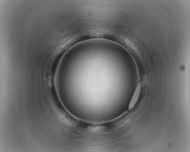 X0000092050452200709191124