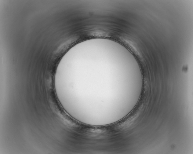 X0000092050453200709191124