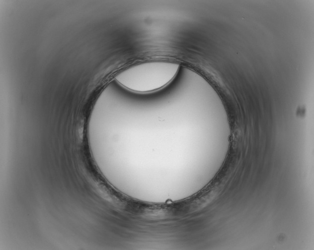 X0000092050454200709191124