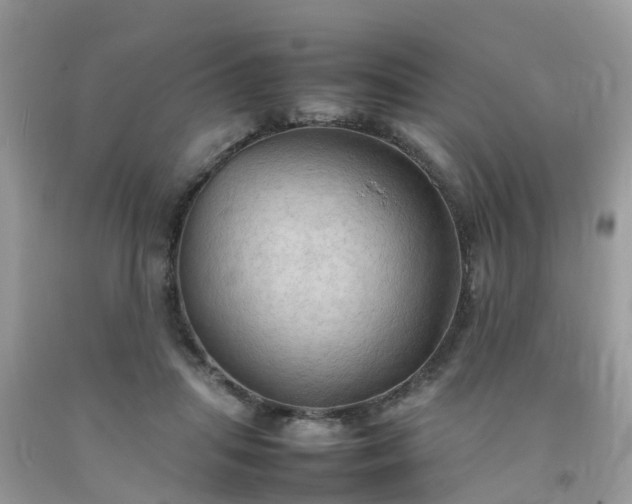 X0000092050455200709191124