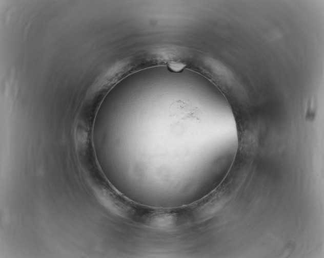 X0000092050456200709191124