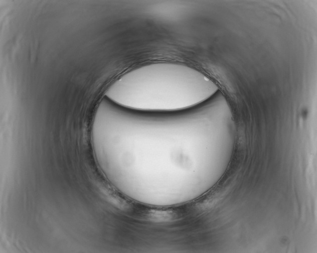 X0000092050457200709191124