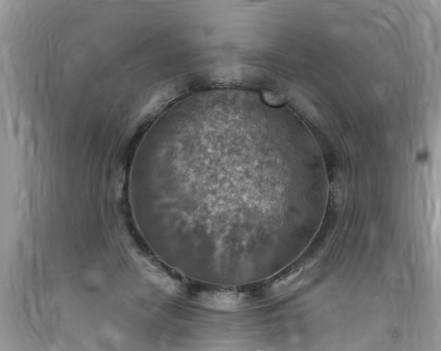 X0000092050458200709191124