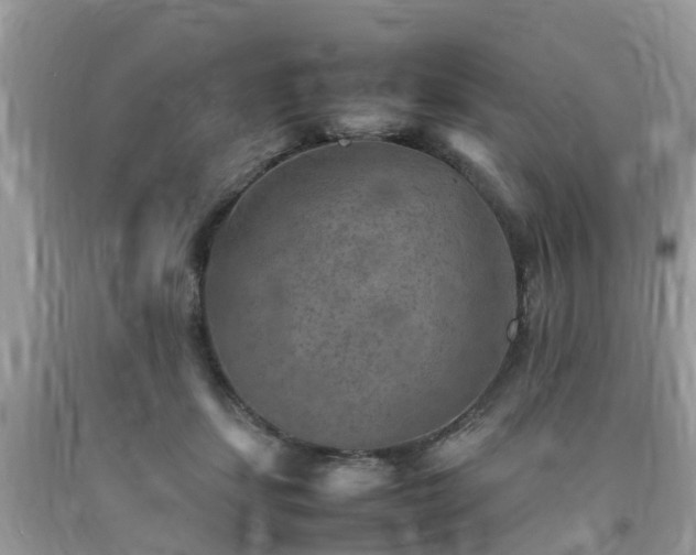 X0000092050459200709191124