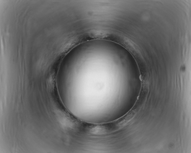 X0000092050460200709191124