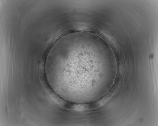 X0000092050461200709191124