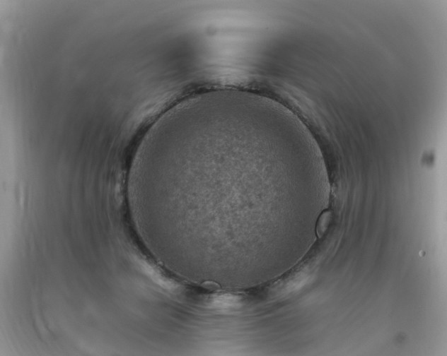 X0000092050462200709191124