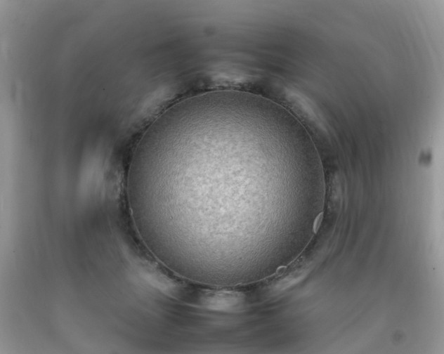 X0000092050463200709191124