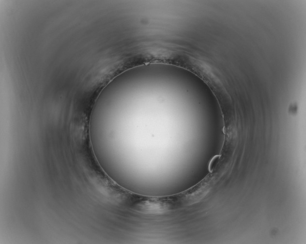 X0000092050464200709191124