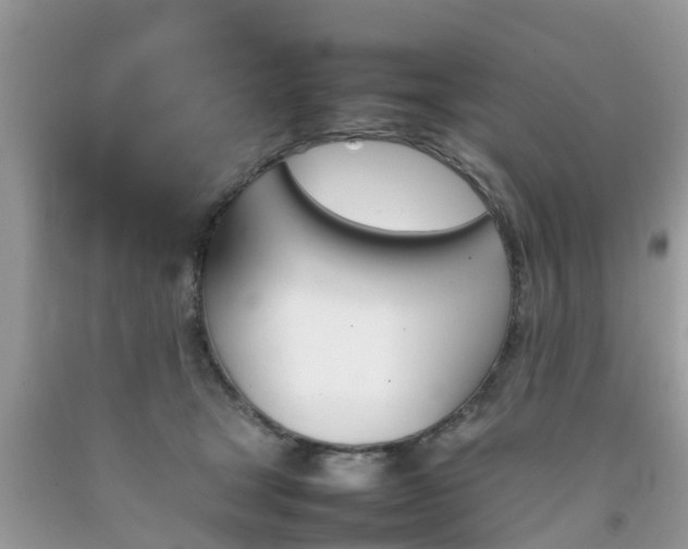 X0000092050465200709191124