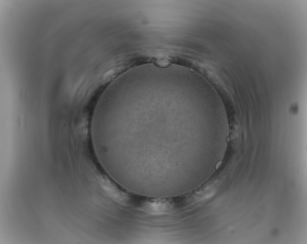 X0000092050466200709191124