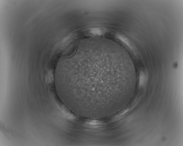 X0000092050467200709191124