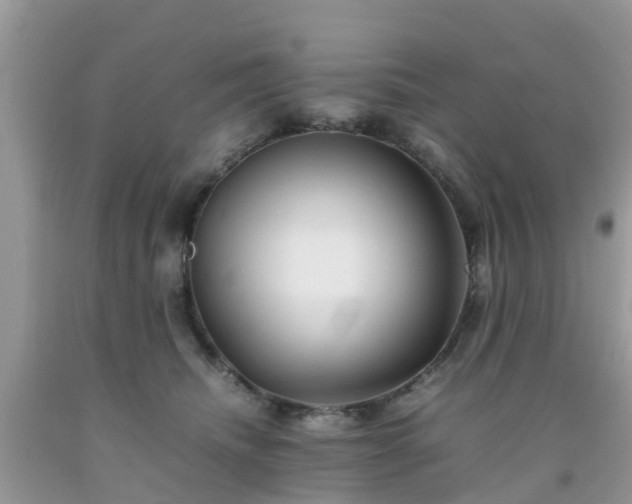 X0000092050468200709191124