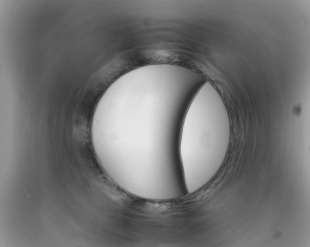 X0000092050469200709191124