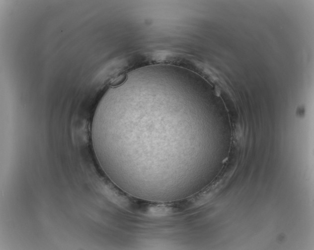 X0000092050470200709191124