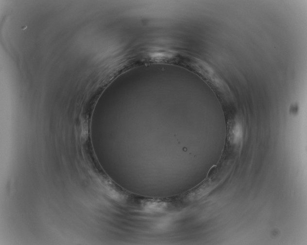 X0000092050471200709191124