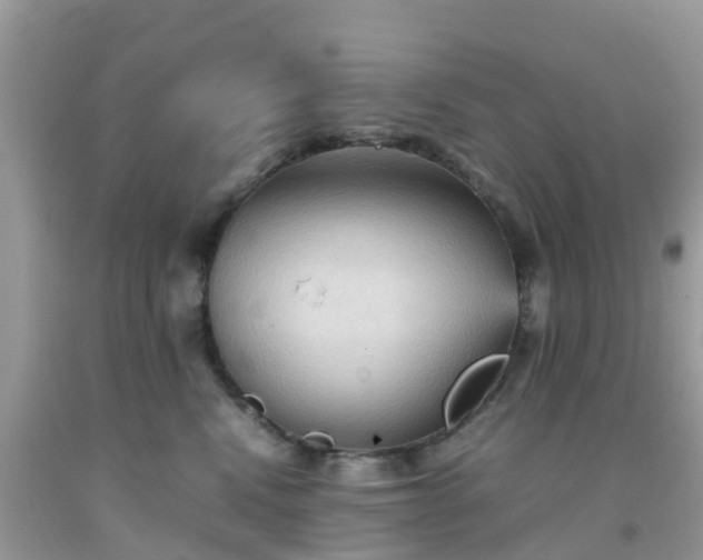 X0000092050472200709191124