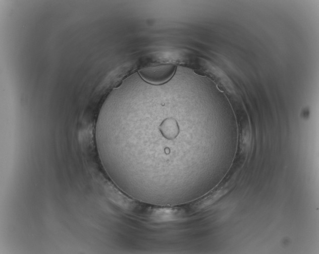 X0000092050473200709191124