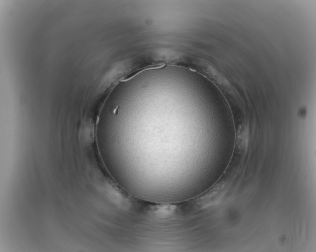 X0000092050474200709191124