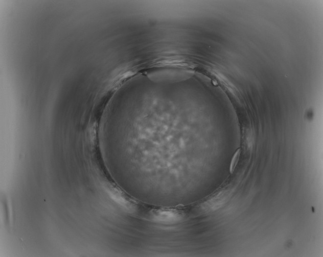 X0000092050475200709191124