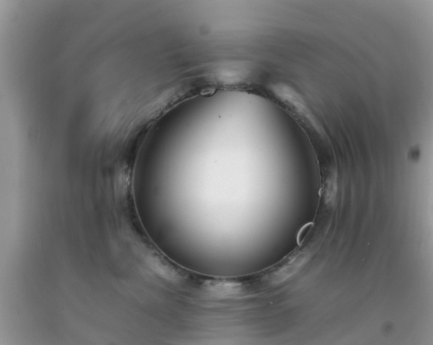 X0000092050476200709191124