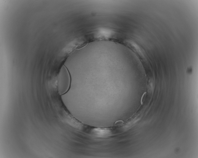 X0000092050477200709191124