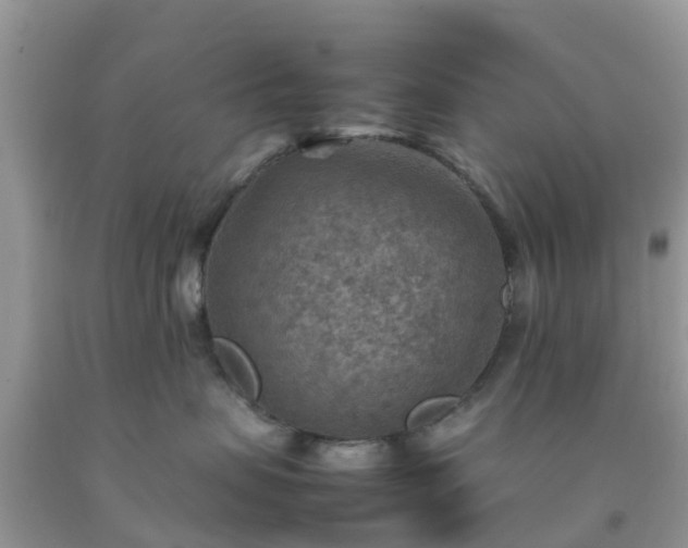 X0000092050479200709191124