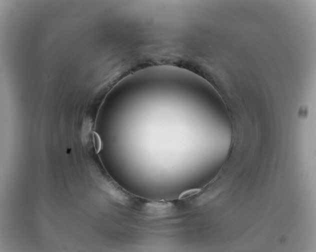 X0000092050480200709191124