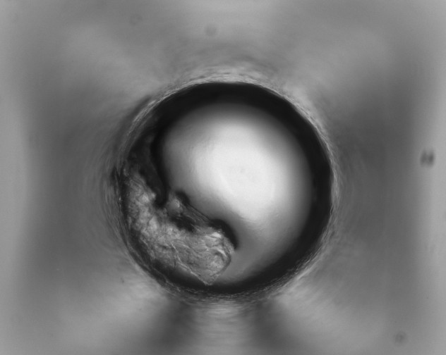 X0000092050481200709191124