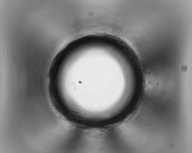 X0000092050482200709191124