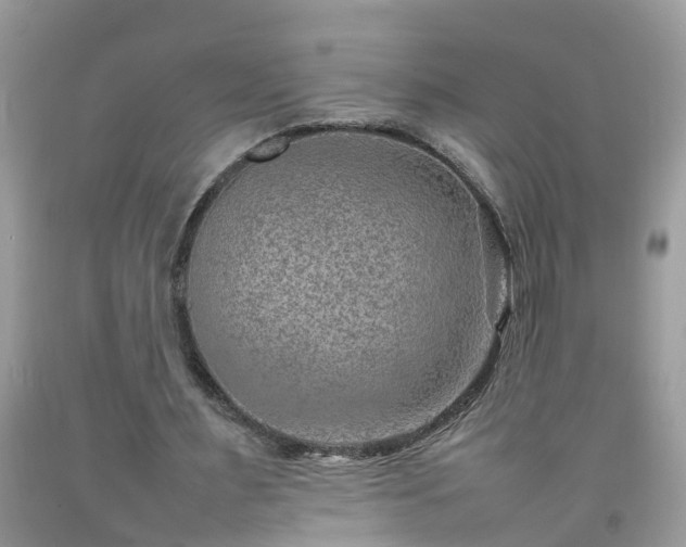 X0000092050483200709191124