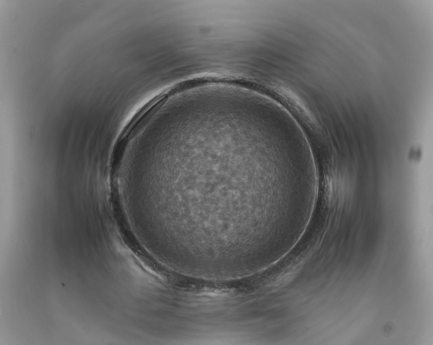 X0000092050484200709191124