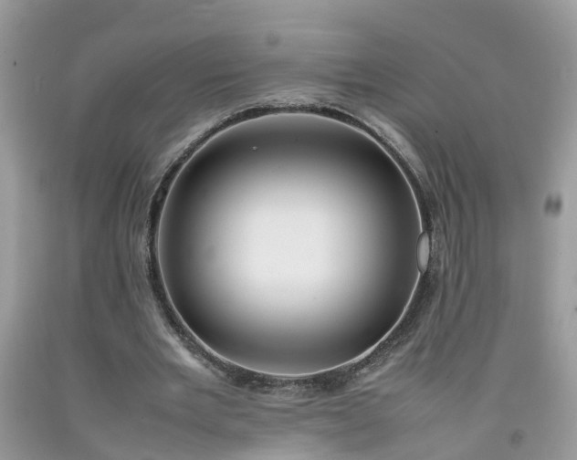 X0000092050485200709191124