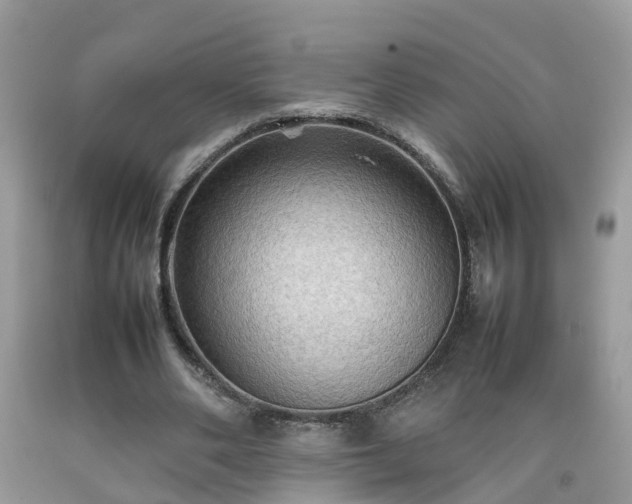 X0000092050486200709191124