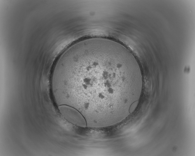 X0000092050487200709191124