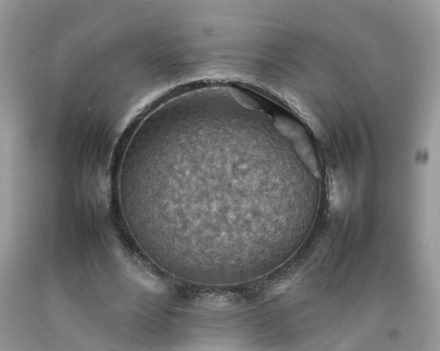 X0000092050488200709191124