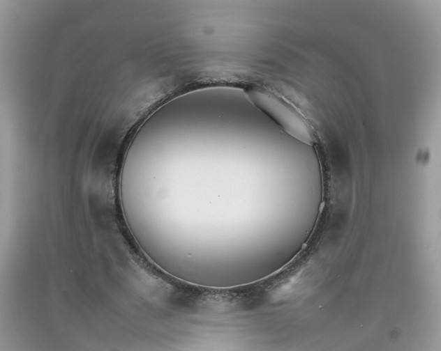 X0000092050489200709191124