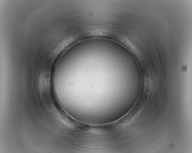 X0000092050490200709191124