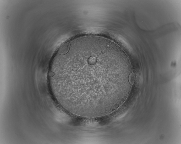 X0000092050491200709191124