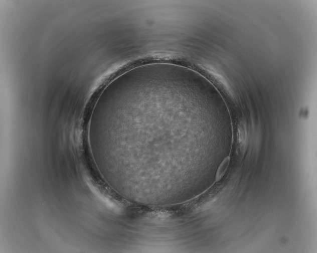 X0000092050492200709191124