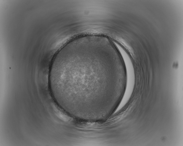 X0000092050493200709191124