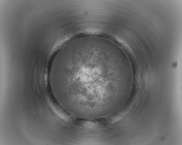 X0000092050494200709191124