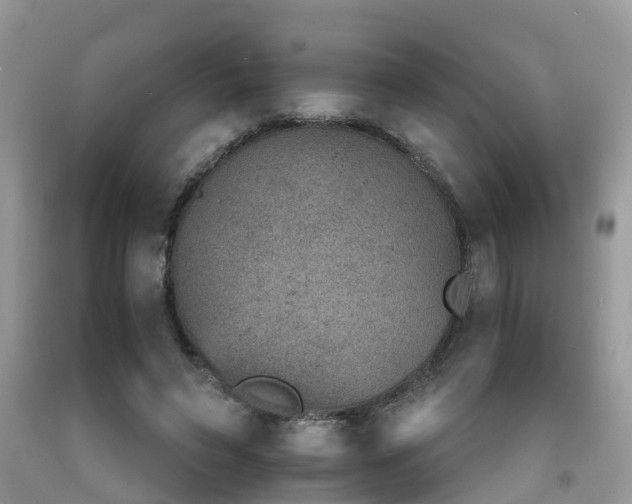 X0000092050495200709191124