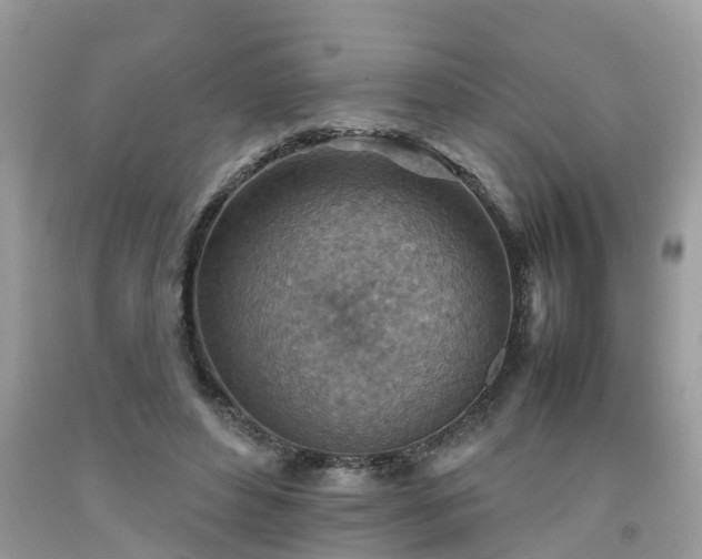 X0000092050496200709191124