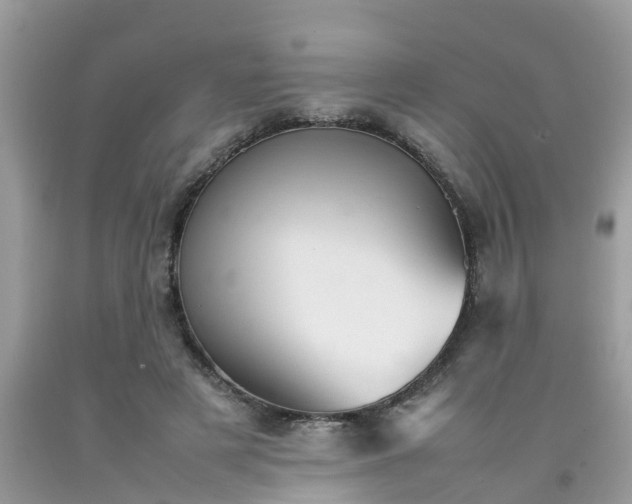 X0000092050497200709191124