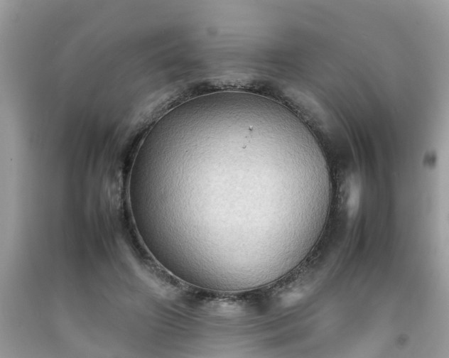 X0000092050498200709191124